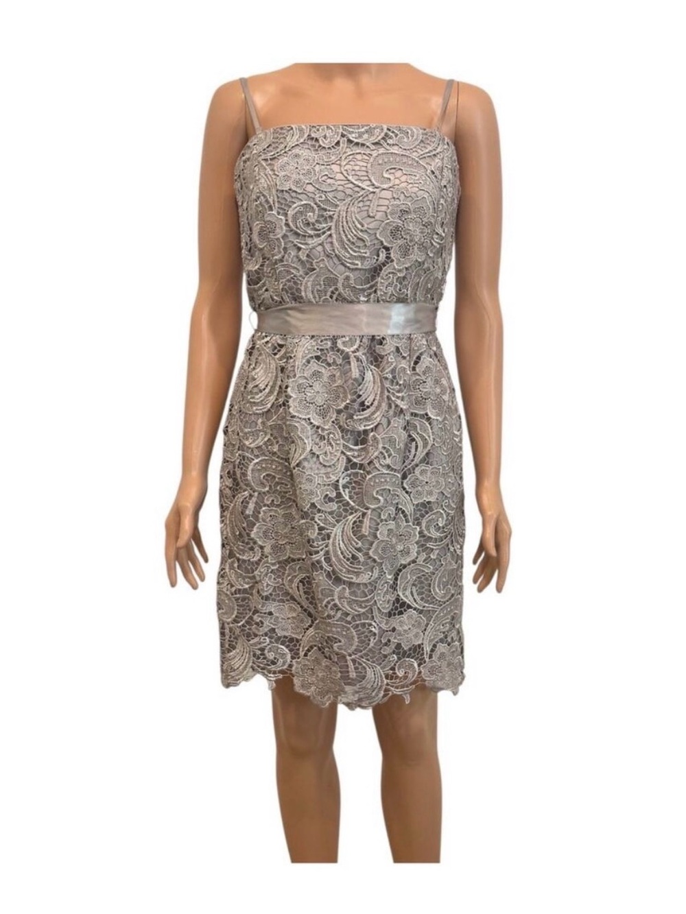 Adrianna Papell 10 ribbon belted lace cocktail formal mini dress D4 3234